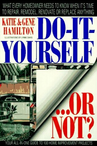 Cover of Do-It-Yourself...or Not?