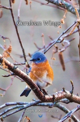 Book cover for Cerulean Wings