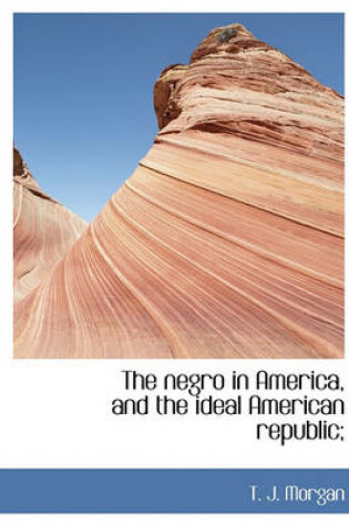 Cover of The Negro in America, and the Ideal American Republic;