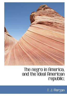 Book cover for The Negro in America, and the Ideal American Republic;