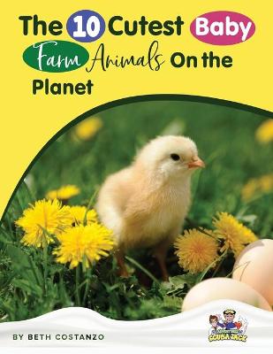 Book cover for Baby Farm Animals Booklet With Activities for Kids ages 4-8