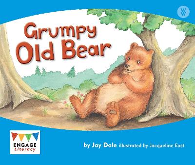 Book cover for Grumpy Old Bear