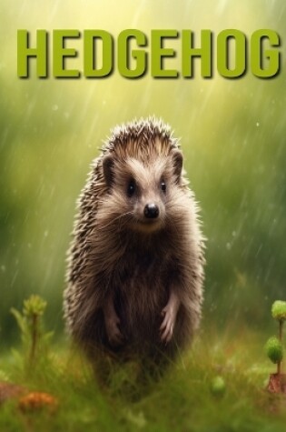 Cover of Hedgehog