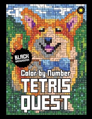 Book cover for Tetris Quest Color By Number (Black Background)