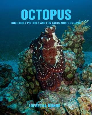 Book cover for Octopus