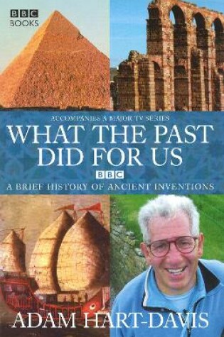 Cover of What the past did for us