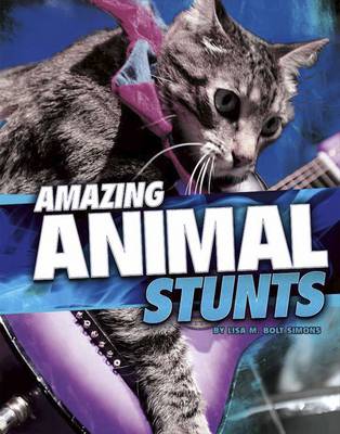 Book cover for Wild Stunts Pack A of 3