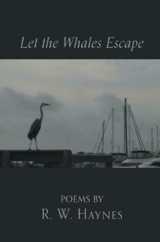 Cover of Let the Whales Escape