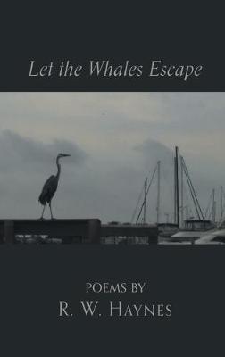 Book cover for Let the Whales Escape