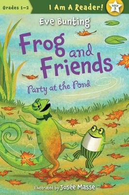 Book cover for Party at the Pond