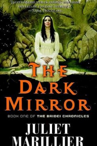 Cover of The Dark Mirror