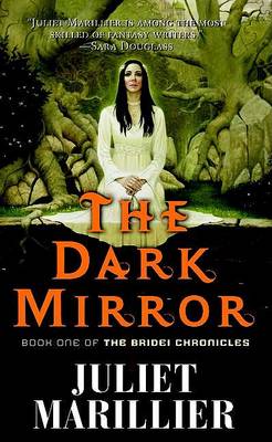 Book cover for The Dark Mirror