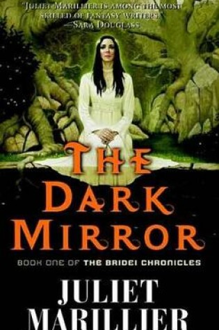 Cover of The Dark Mirror