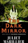Book cover for The Dark Mirror