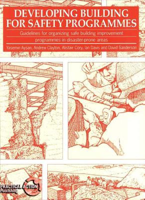 Book cover for Developing Building for Safety Programmes