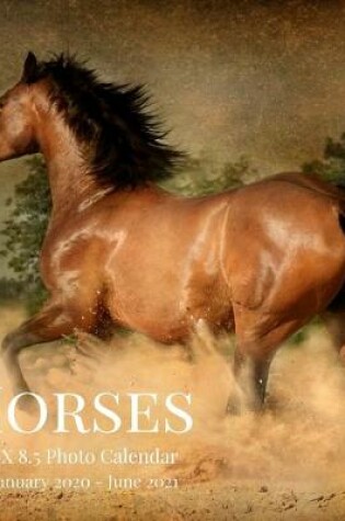 Cover of Horses 8.5 X 8.5 Photo Calendar January 2020 - June 2021