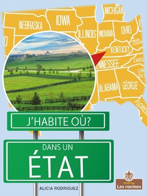 Cover of Dans Un État (State)