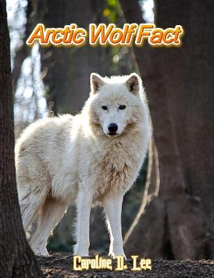 Book cover for Arctic Wolf Fact