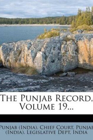 Cover of The Punjab Record, Volume 19...