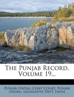 Book cover for The Punjab Record, Volume 19...