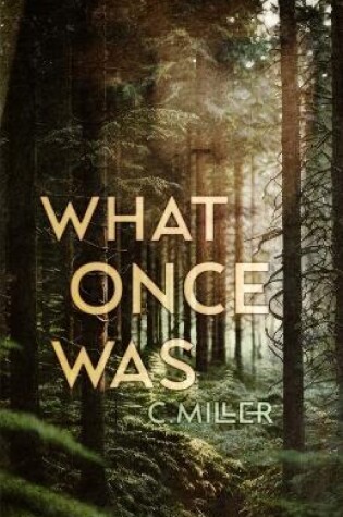 Cover of What Once Was