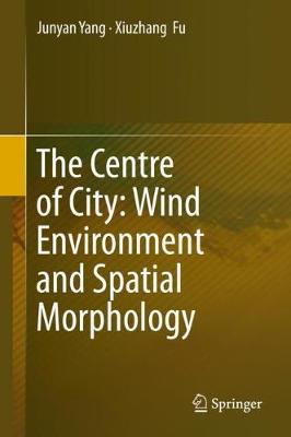 Book cover for The Centre of City: Wind Environment and Spatial Morphology