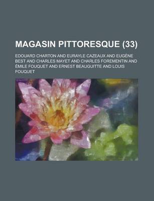 Book cover for Magasin Pittoresque (33 )