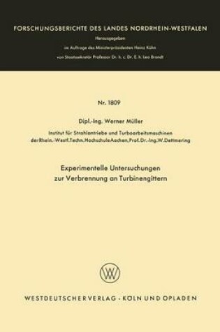 Cover of Experimentelle Untersuchungen Zur Verbrennung an Turbinengittern