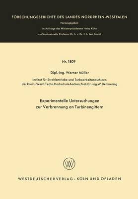 Cover of Experimentelle Untersuchungen Zur Verbrennung an Turbinengittern