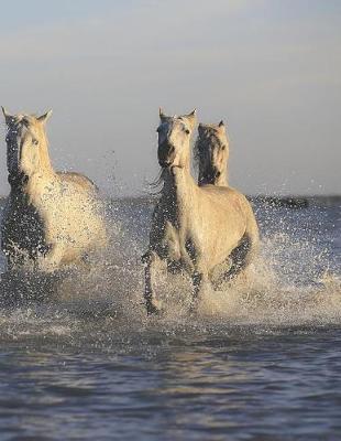 Book cover for White Horses