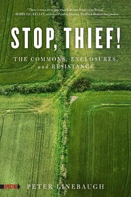 Book cover for Stop, Thief!