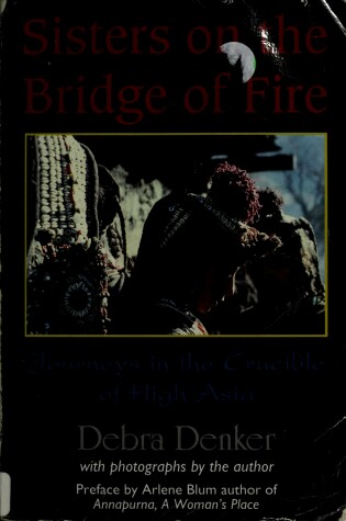 Cover of Sisters on the Bridge of Fire