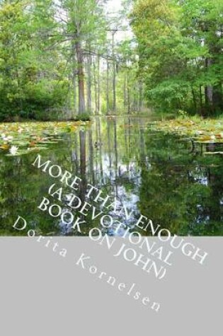 Cover of More than Enough (A Devotional Book on John)