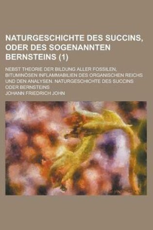 Cover of Naturgeschichte Des Succins, Oder Des Sogenannten Bernsteins; Nebst Theorie Der Bildung Aller Fossilen, Bituminosen Inflammabilien Des Organischen Rei