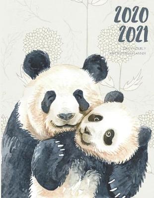 Book cover for Daily Planner 2020-2021 Watercolor Panda Cub 15 Months Gratitude Hourly Appointment Calendar