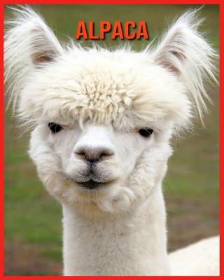 Book cover for Alpaca