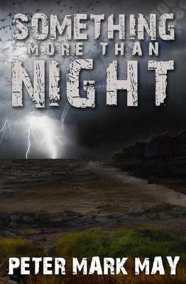 Book cover for Something More Than Night