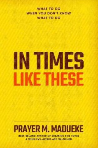 Cover of In Time Like These