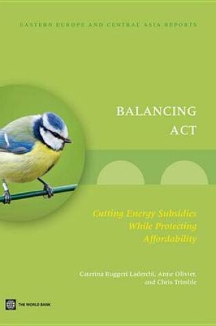 Cover of Balancing ACT