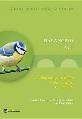 Book cover for Balancing ACT