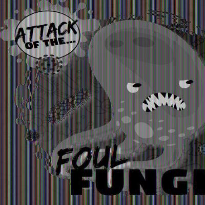 Book cover for Foul Fungi