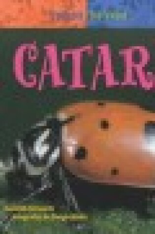 Cover of La Catarina (Ladybug)