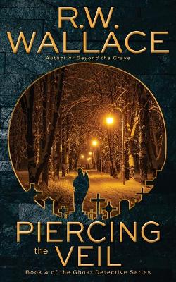 Book cover for Piercing the Veil