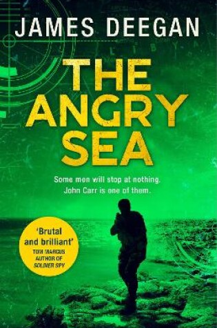 Cover of The Angry Sea