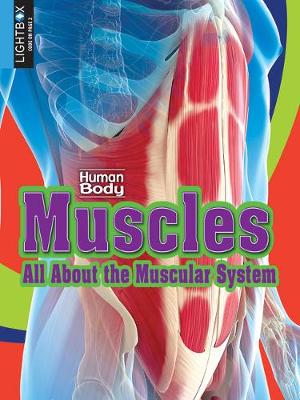 Book cover for Muscles: All about the Muscular System