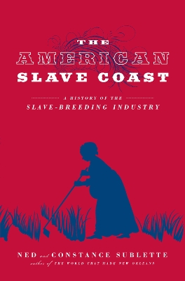 Book cover for The American Slave Coast