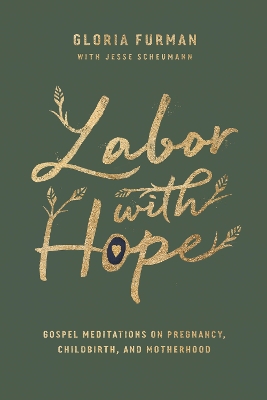 Book cover for Labor with Hope
