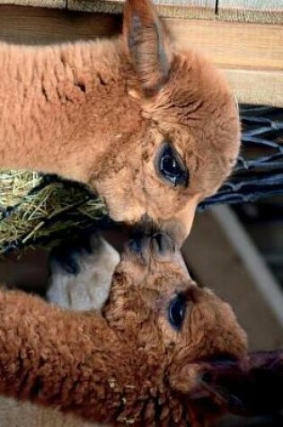 Cover of Alpacas Whispering to One Another Journal