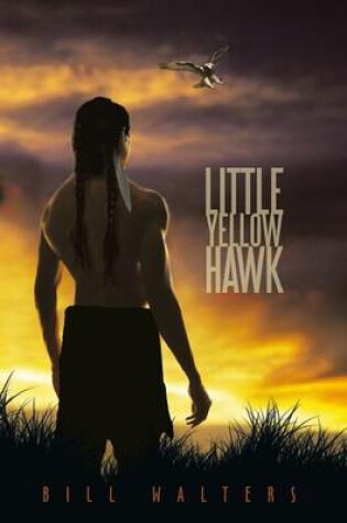 Cover of Little Yellow Hawk