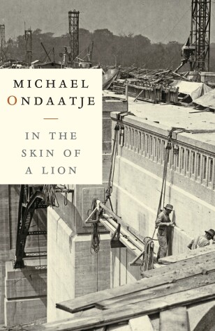 Book cover for In the Skin of a Lion